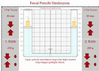 Pascal Prensibi Simülasyonu Önizleme