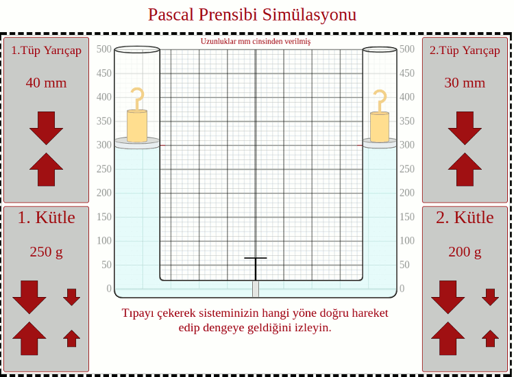 Pascal Prensibi Simülasyonu