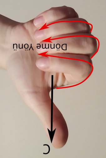 Sağ el kuralı aşağı yönlü